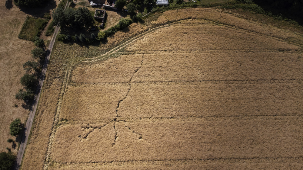 Usługi dronem - Określenie szkód łowieckich z drona - Złotoryja